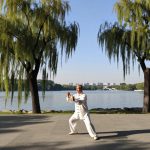 The Green Reversal: How Everyday Chinese Citizens Are Rewilding Their Cities