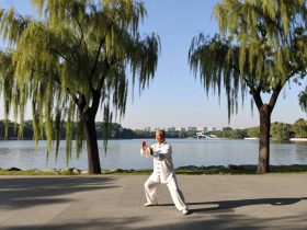 The Green Reversal: How Everyday Chinese Citizens Are Rewilding Their Cities