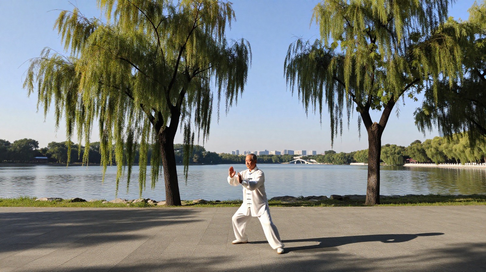 The Green Reversal: How Everyday Chinese Citizens Are Rewilding Their Cities
