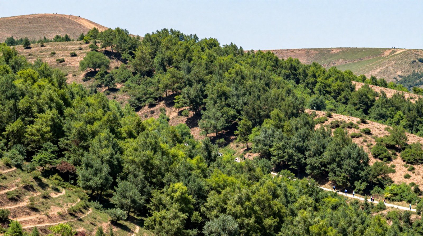 Restored green hills in Hebei province showing environmental recovery