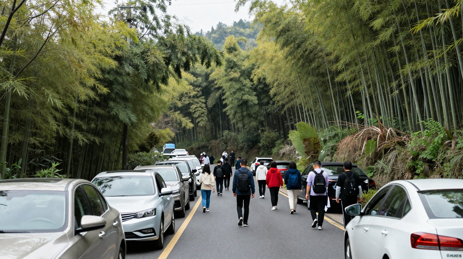 Families hiking into bamboo forests on mountain roads near Hangzhou to harvest spring shoots