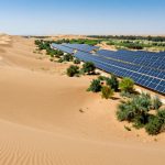 From Desert to Forest: The Kubuqi Miracle