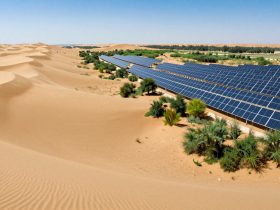 From Desert to Forest: The Kubuqi Miracle