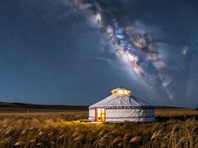 Sleeping in a Yurt Under the Milky Way: The Endless Grassland Driving Route