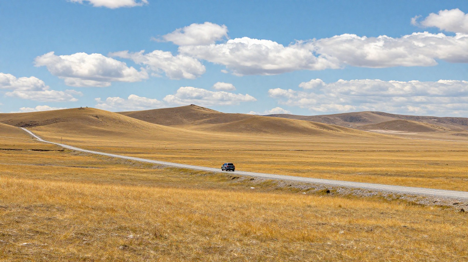 Golden grasslands of Inner Mongolia with a winding gravel road and a traveling car under a bright blue sky