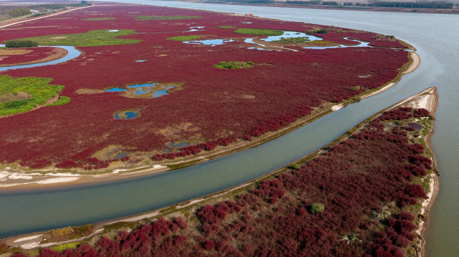 Aerial landscape of the diverse ecosystems in Panjin coastal wetlands during autumn