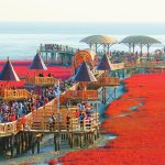 The Red Beach You Won't Believe is Real: A Coastal Wonder Route in Panjin