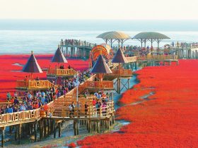 The Red Beach You Won't Believe is Real: A Coastal Wonder Route in Panjin