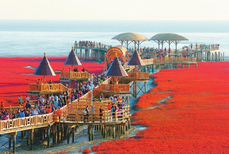 The Red Beach You Won't Believe is Real: A Coastal Wonder Route in Panjin