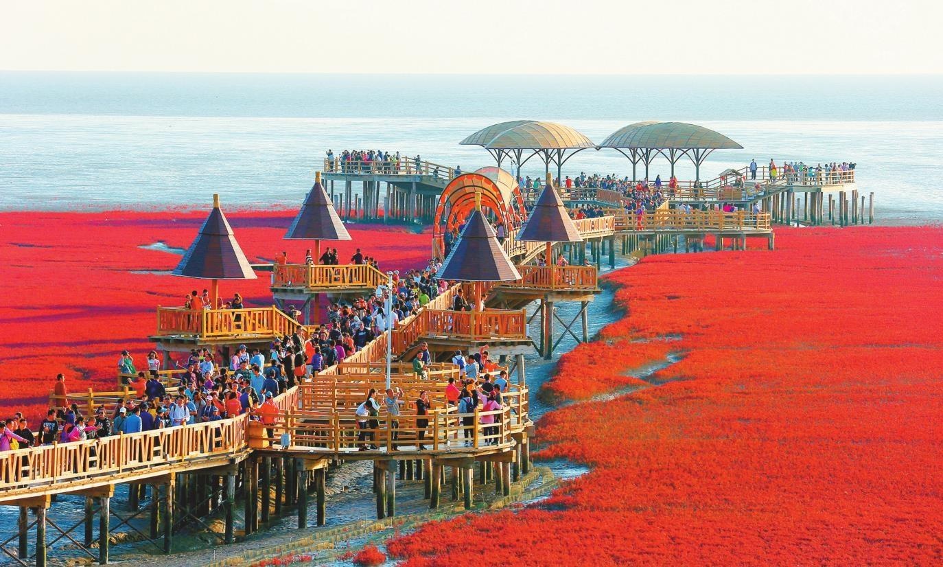 The Red Beach You Won't Believe is Real: A Coastal Wonder Route in Panjin