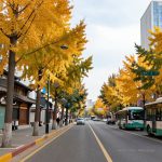 Jilin: Beyond the Snow, A Land of Four Seasons