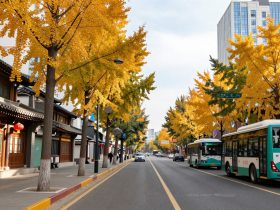 Jilin: Beyond the Snow, A Land of Four Seasons