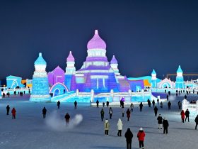 Surviving -30°C: The Ultimate Harbin Ice Festival and Siberian Tiger Route