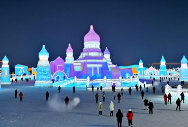 Surviving -30°C: The Ultimate Harbin Ice Festival and Siberian Tiger Route