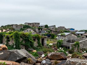 We Explored the Abandoned Fishing Village on Shengsi Reclaimed by Nature