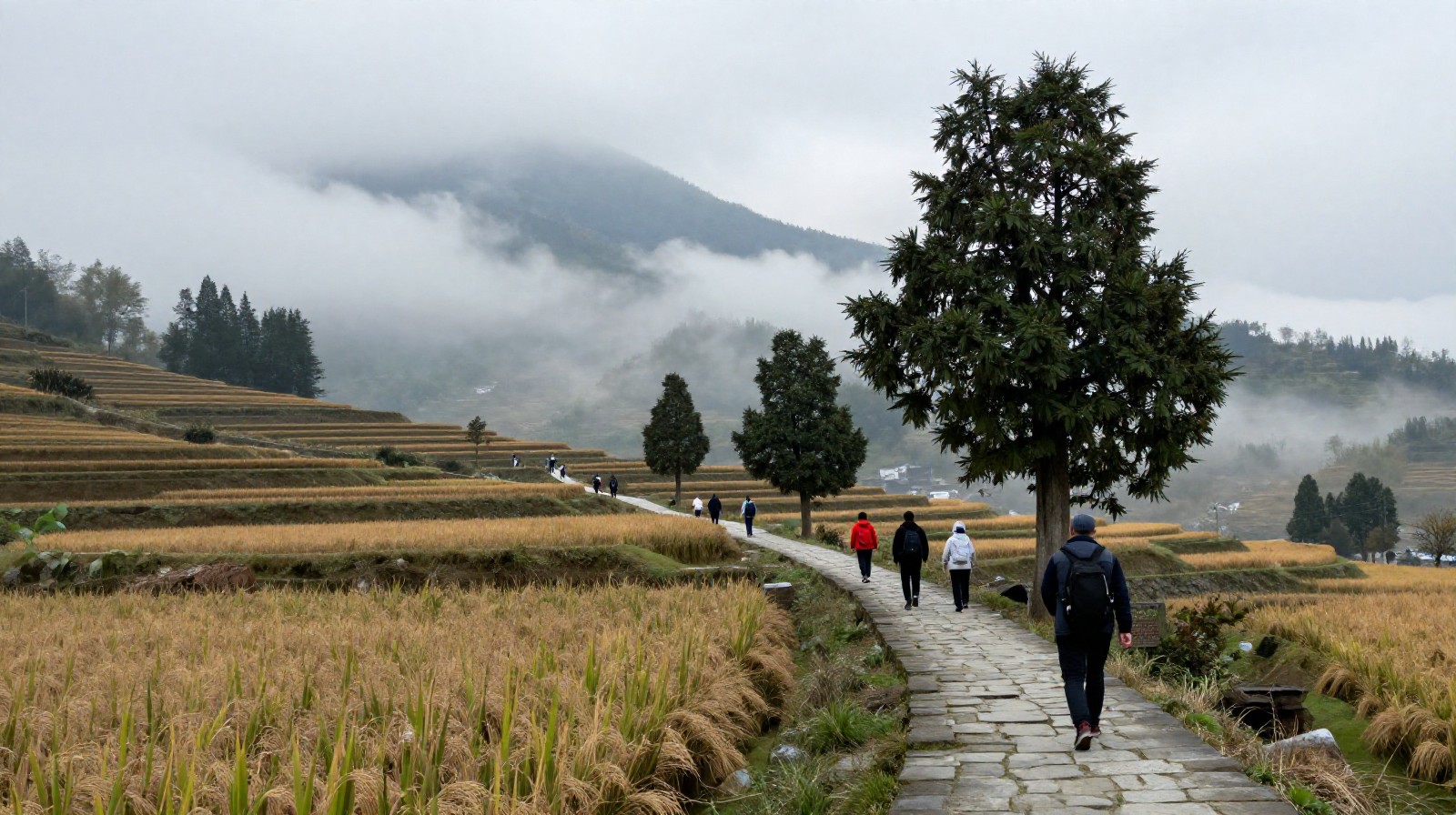 Hikers walking along a stone path through misty rice terraces and ancient trees near Huangshan foothills