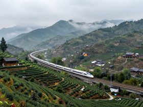 Sichuan: A Symphony of Pandas, Teahouses, and Snowy Frontiers