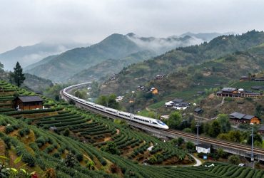 Sichuan: A Symphony of Pandas, Teahouses, and Snowy Frontiers