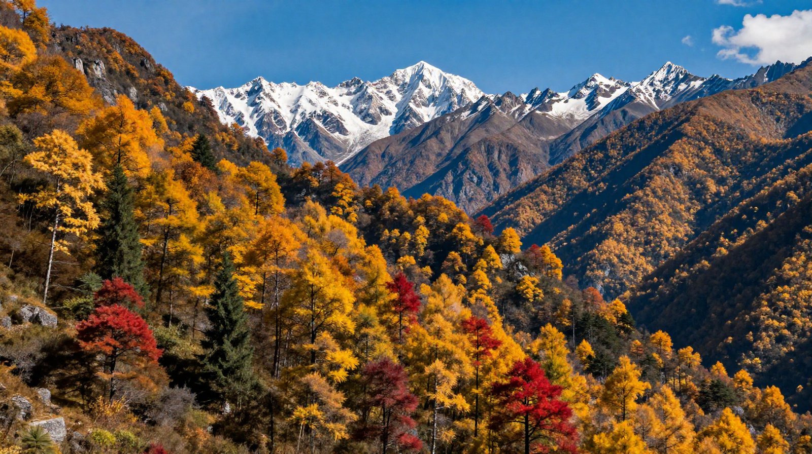 Autumn foliage and snow-capped mountains in Western Sichuan during peak season
