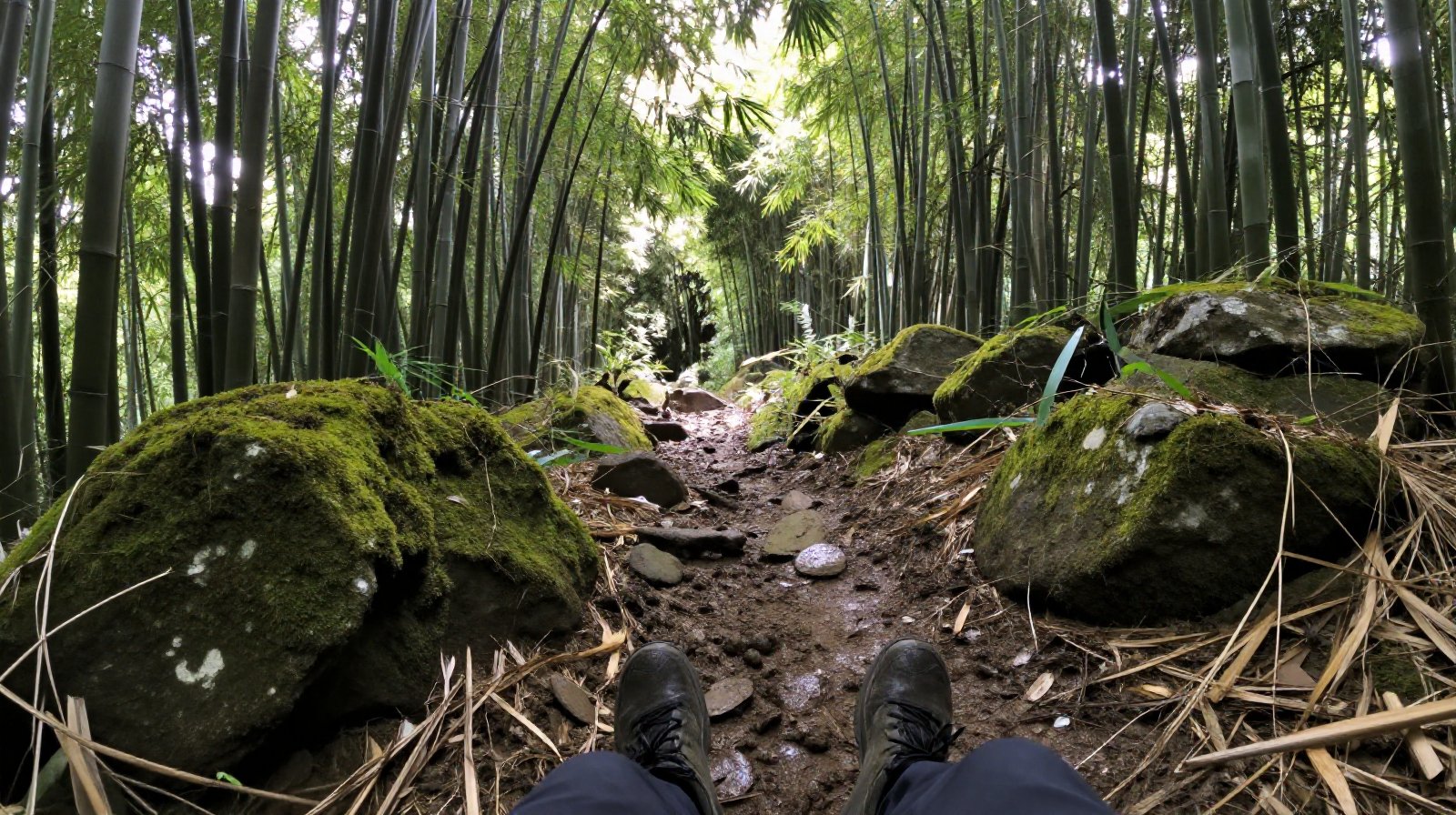 Hiker walking on a mossy path through a bamboo forest in Guizhou's valleys