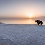 Qinghai: Where the 'Sky Mirror' Meets the Mars-like Wilderness