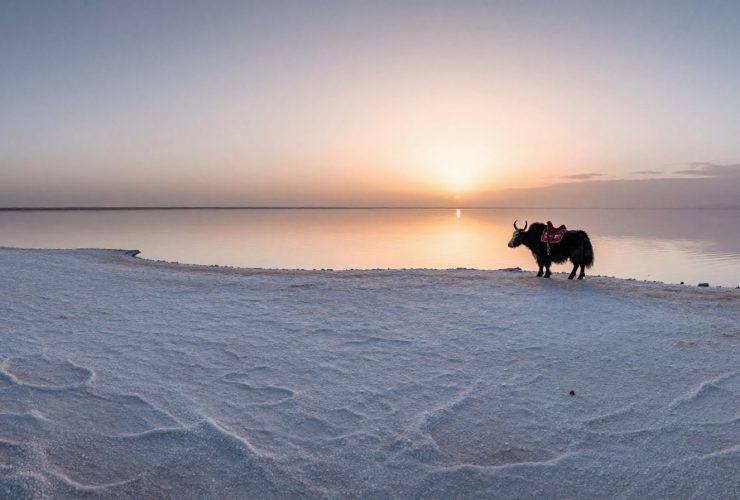 Qinghai: Where the 'Sky Mirror' Meets the Mars-like Wilderness
