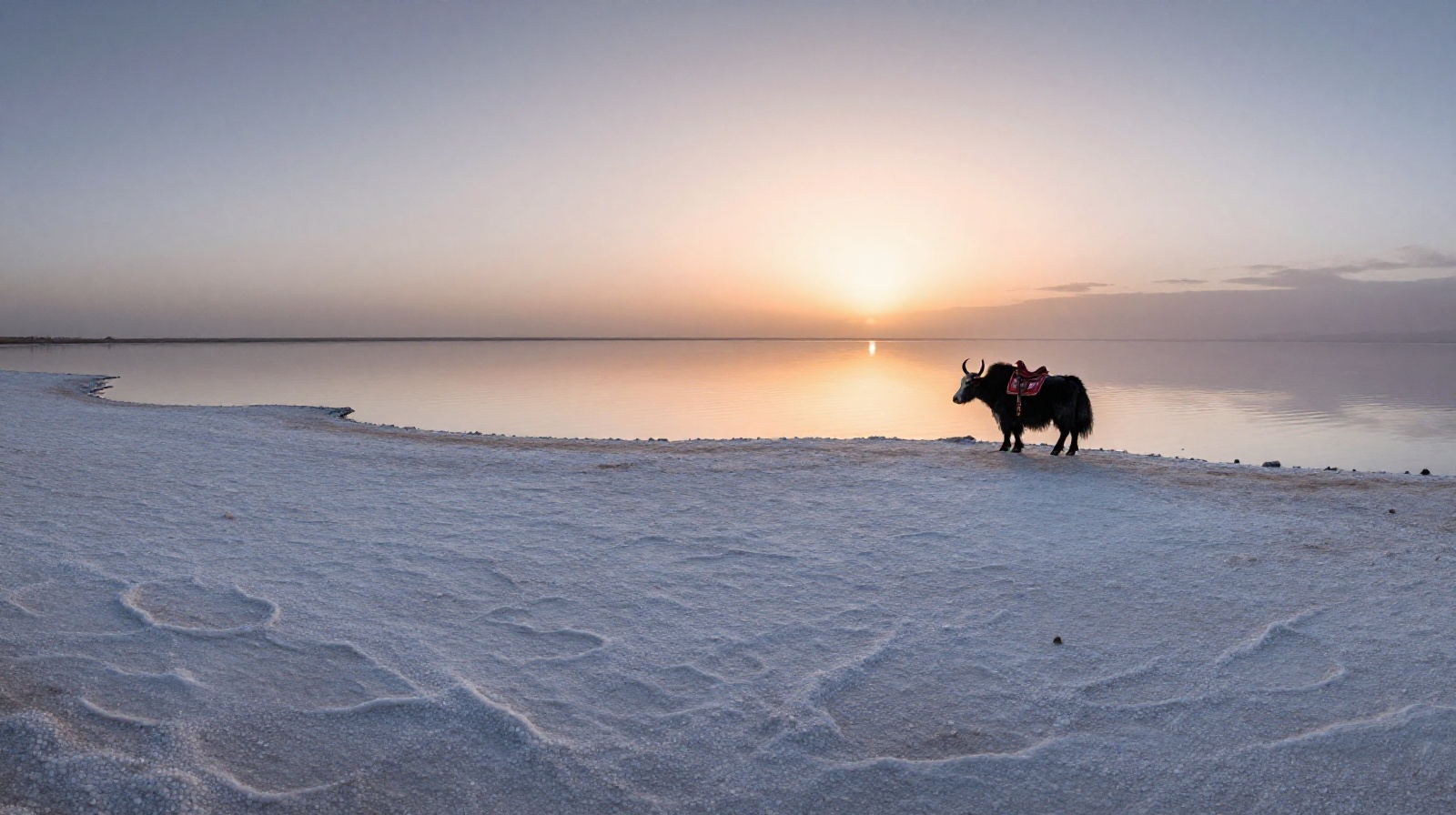 Qinghai: Where the 'Sky Mirror' Meets the Mars-like Wilderness