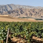 Ningxia: China's 'Napa Valley' in the Desert and New Silk Road Opportunities