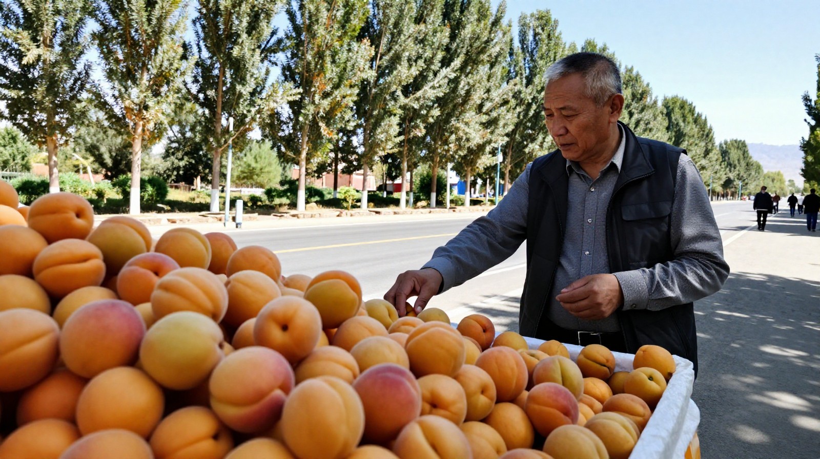 Tourist buying fresh apricots at a roadside stall along the Duku Highway with lush green valley in the background