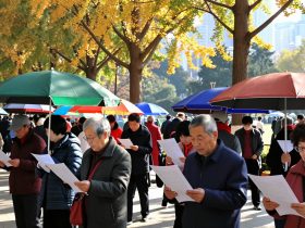 The Park Matchmaking Corner: How Hard Do Chinese Parents Work for Their Children's Marriages?