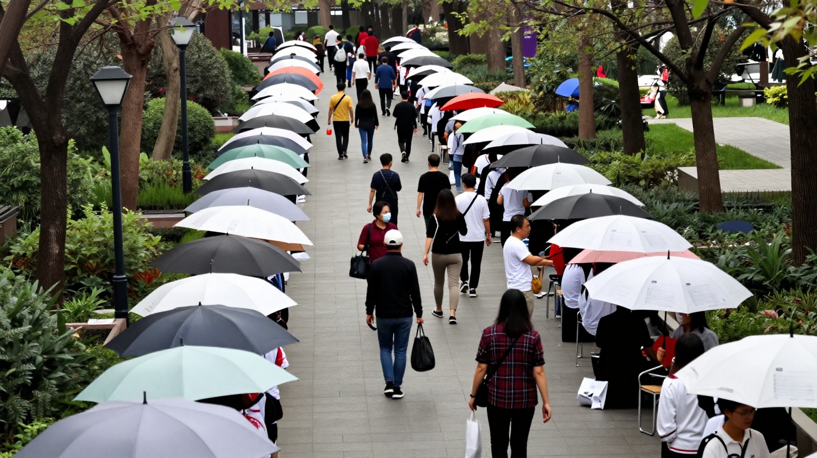 Rows of colorful umbrellas displaying marriage resumes in a bustling Chinese park matchmaking corner