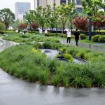 Beyond Concrete: How China's Sponge Cities Turn Floods into Resources