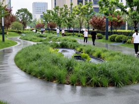 Beyond Concrete: How China's Sponge Cities Turn Floods into Resources