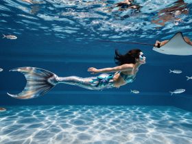 My Job Is to Be a 'Mermaid' in an Aquarium in a Land-locked City