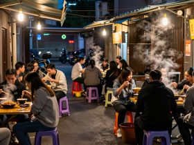 Hidden Menus of the Midnight Kitchen: Exploring China's Street Food Gems