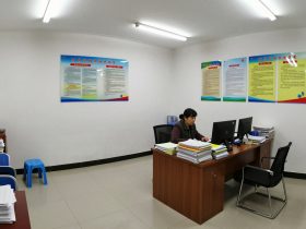 Inside the Neighborhood Committee: China's Grassroots Engine