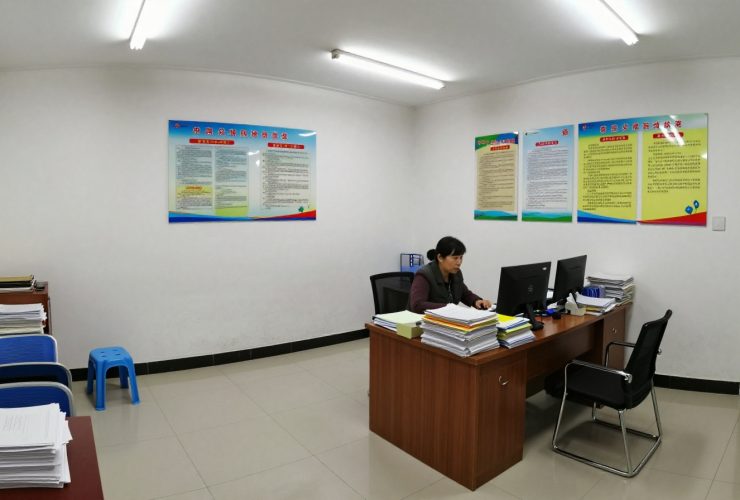 Inside the Neighborhood Committee: China's Grassroots Engine