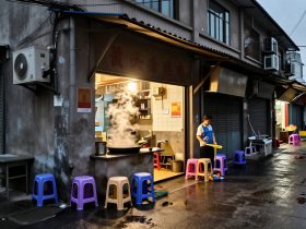 Beyond Michelin: Finding True Masterpieces in Chinese Home Cooking