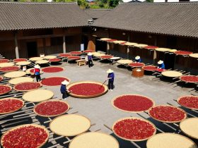 The Heart of Sichuan Cuisine: Inside a 300-Year-Old Chili Paste Workshop