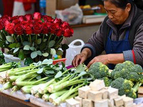 Flowers on the Plate: The Rose Culinary Tradition of Yunnan