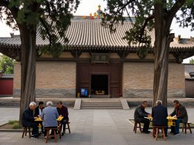 Beyond the Terracotta Warriors: A Local's Guide to Shaanxi's Hidden Ancient Gems