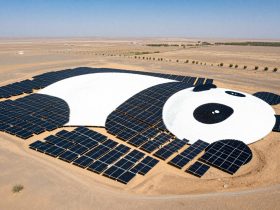 The Solar Farm Shaped Like a Panda (Yes, Really)