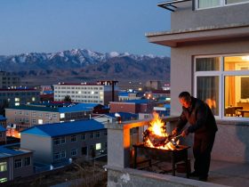 From Yak Yogurt to Roasted Lamb: Daily Meals and Hospitality in Qinghai Households