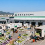 From Tree to Table in 48 Hours: How Cold Chain Logistics and Digital Agriculture Deliver Fresh Toona Sinensis Across China