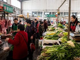 Inside the Chinese Wet Market: A Hub of Fresh Produce and Community Stories