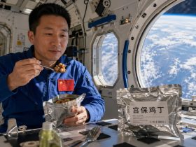 China's Space Station: What Are Taikonauts Really Eating?