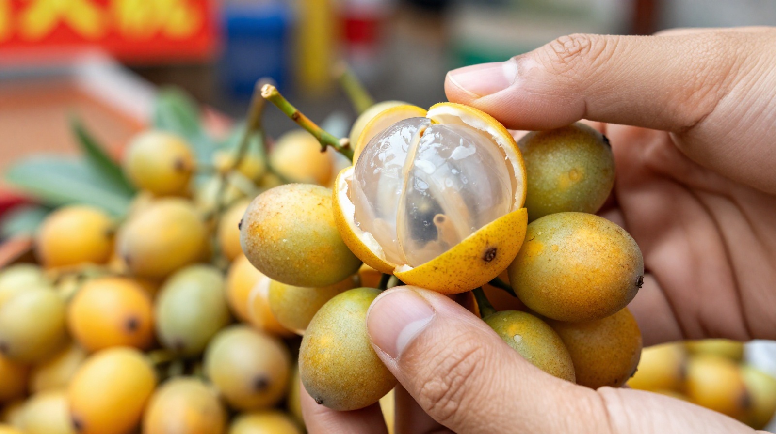 A close-up view of hands peeling bumpy green Huangpi fruits in a traditional Chinese market, showing the sweet translucent flesh inside