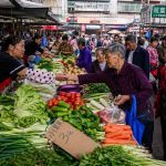 The Overlooked Miracle: Why China's Vegetable Basket Remains Stable While Western Shelves Empty