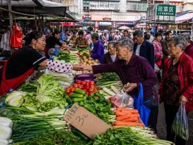 The Overlooked Miracle: Why China's Vegetable Basket Remains Stable While Western Shelves Empty
