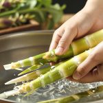 Why Bamboo Shoots Taste Like Spring in China (It’s Not Magic)
